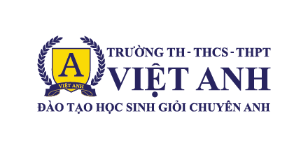 Trường Việt Anh